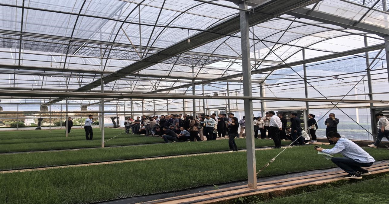 圖片2.jpg 圖片2.jpg